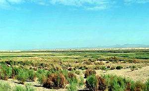 KUNMING- DUNHUANG VOYAGE D ETUDES ORGANISE (17)